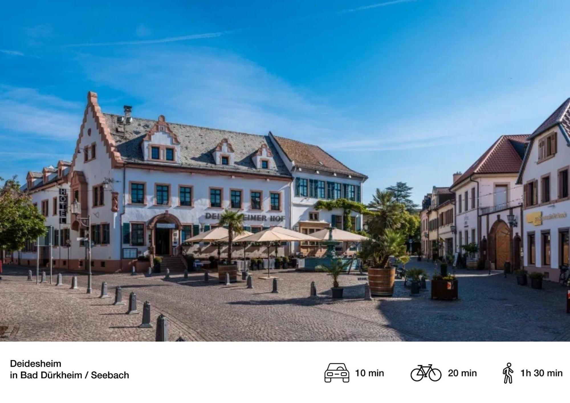 Privates Ferienhaus Mit Pool & Whirlpool Zentral In Bad Dürkheim Exteriör bild