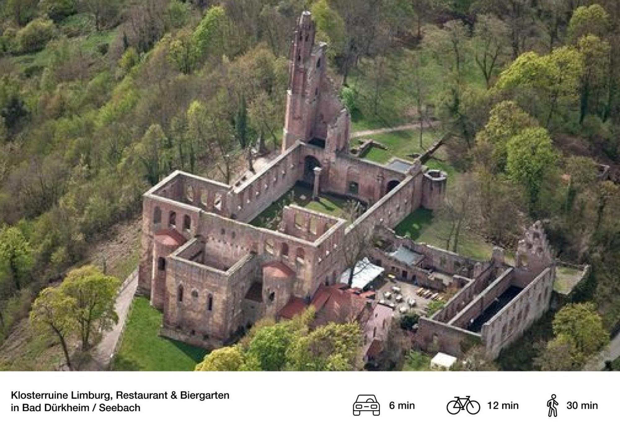 Privates Ferienhaus Mit Pool & Whirlpool Zentral In Bad Dürkheim Exteriör bild